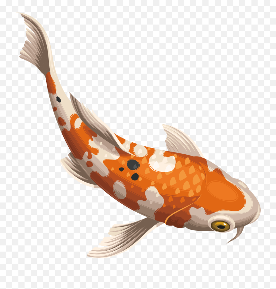 Golden Koi Fish Png Picture Png Mart - Koi Fish Png Emoji,Fish Png