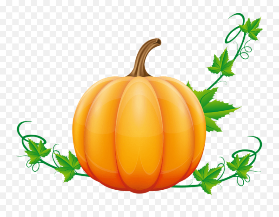 Pumpkin Clipart Vine - Transparent Pumpkin Vine Clipart Emoji,Pumpkin Clipart