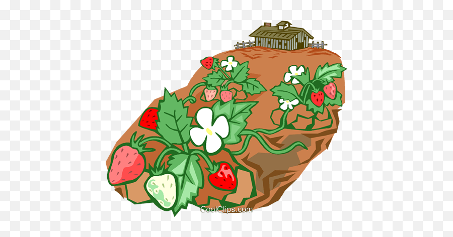 Strawberry Farming Royalty Free Vector - Strawberry Farm Clipart Png Emoji,Farming Clipart