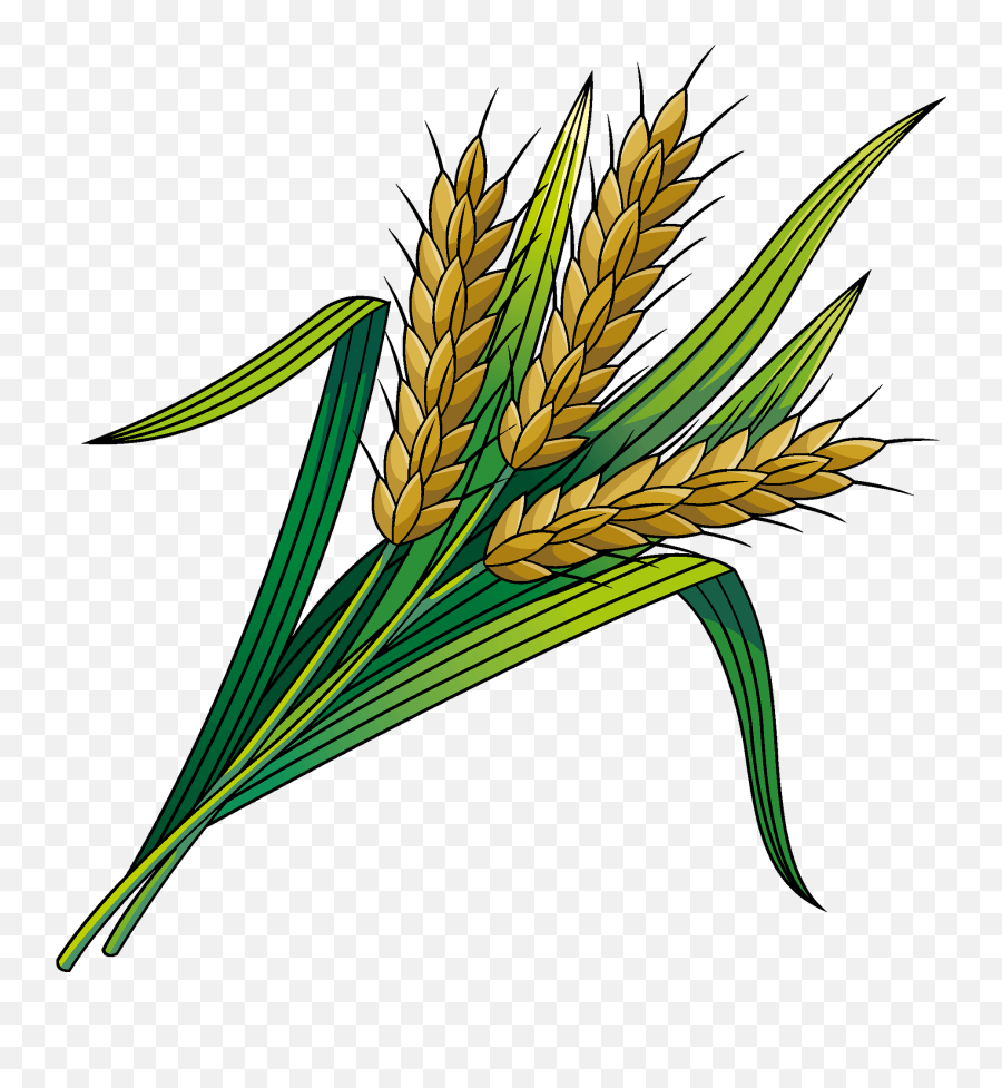 Wheat Clipart - Clipart Picture Of Wheat Emoji,Wheat Clipart