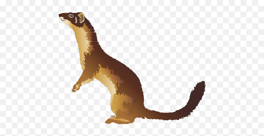 Library Of Weasle Otter Jpg Library - Weasel And The Bat Emoji,Otter Clipart