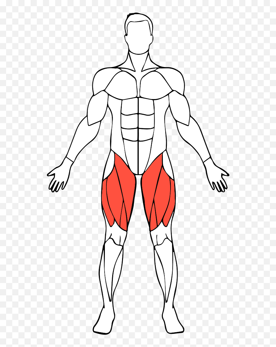 The Best Targeting - Transparent Biceps Muscle Png Emoji,Muscles Clipart