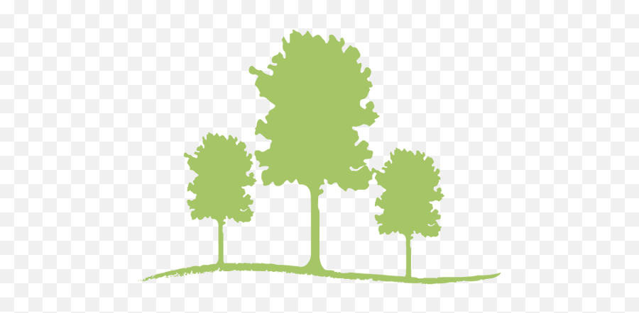 The Town Of Big Cypress U2013 Collier County Emoji,Cypress Tree Clipart
