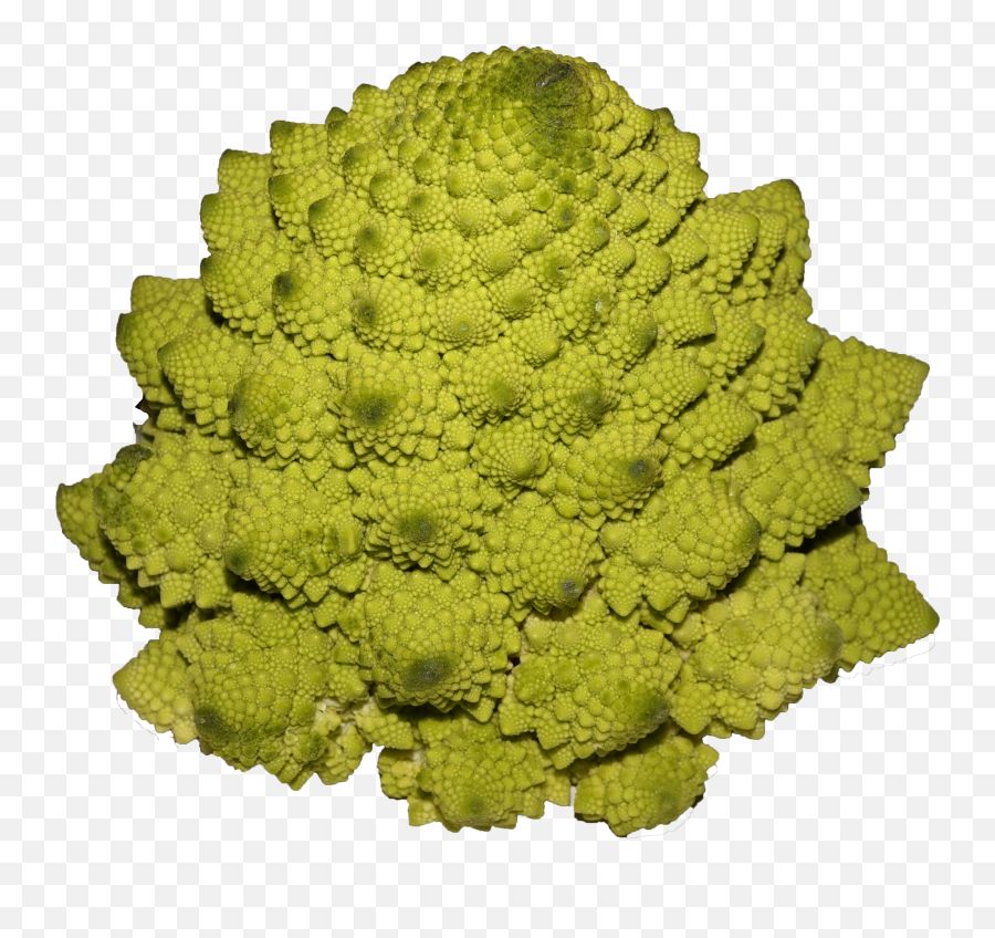 Romanesco Broccoli - Romanesco Broccoli Png Emoji,Broccoli Png