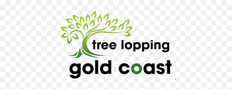 Best Tree Loppers Gold Coast Tree Lopping Gold Coast Tree - Tree Logo Free Vector Emoji,Tree Services Logos