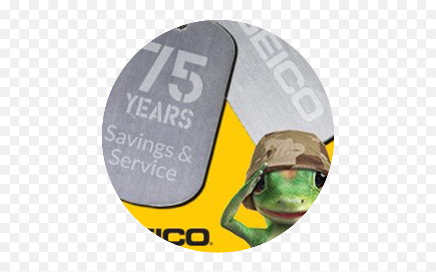 Geico Logo - Geicomilitary Print Digital Out Of Home Geico Gecko Military Emoji,Geico Logo Png