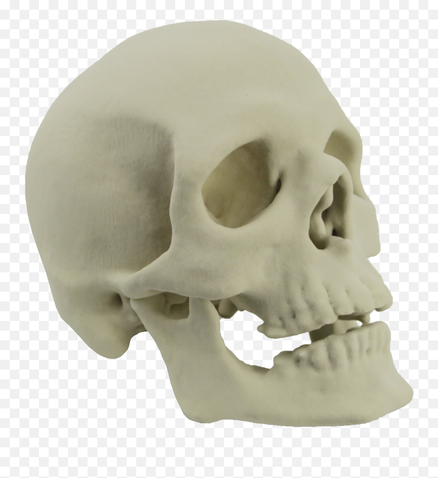 Skull Png - Transparent 3d Skull Png Emoji,Skull Transparent