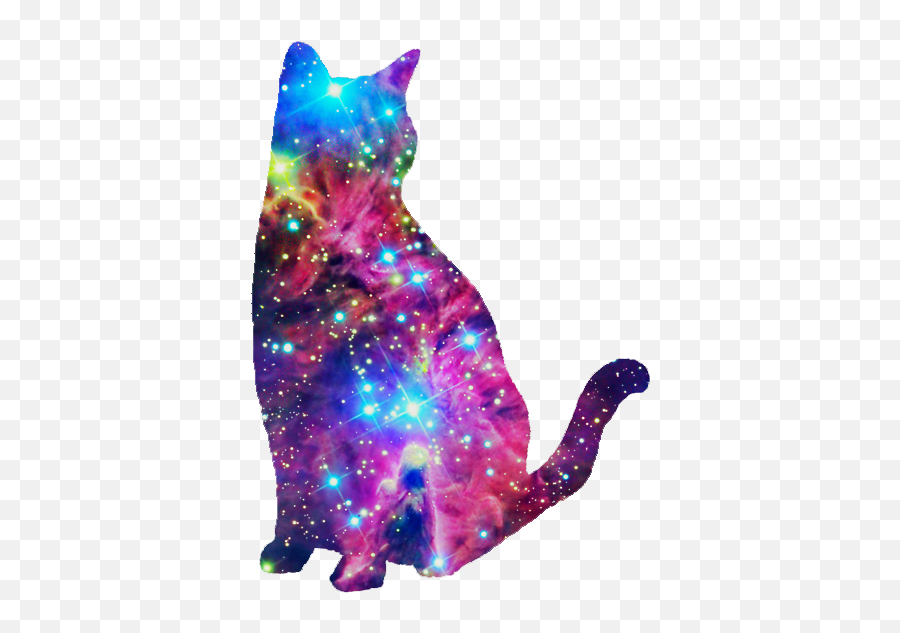 Download Galaxy Cat I Donu0027t Know Why I Like This So Much Emoji,Galaxy Background Png