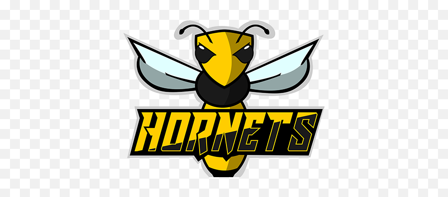 Hornets Projects Photos Videos Logos Illustrations And Emoji,Hornets Clipart