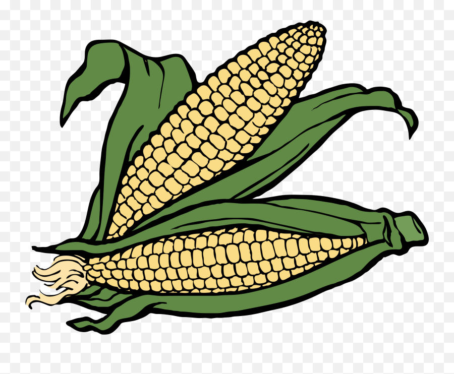 Hd Corn Png Transparent Png Image - Corn Clip Art Emoji,Corn Png
