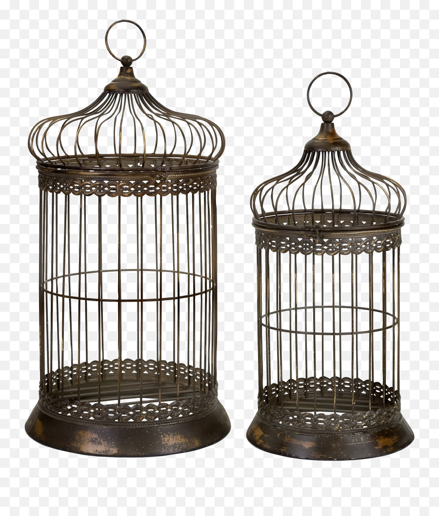 Bird Cage Bird Pet Birds - Old Fashioned Vintage Bird Cage Emoji,Cage Png