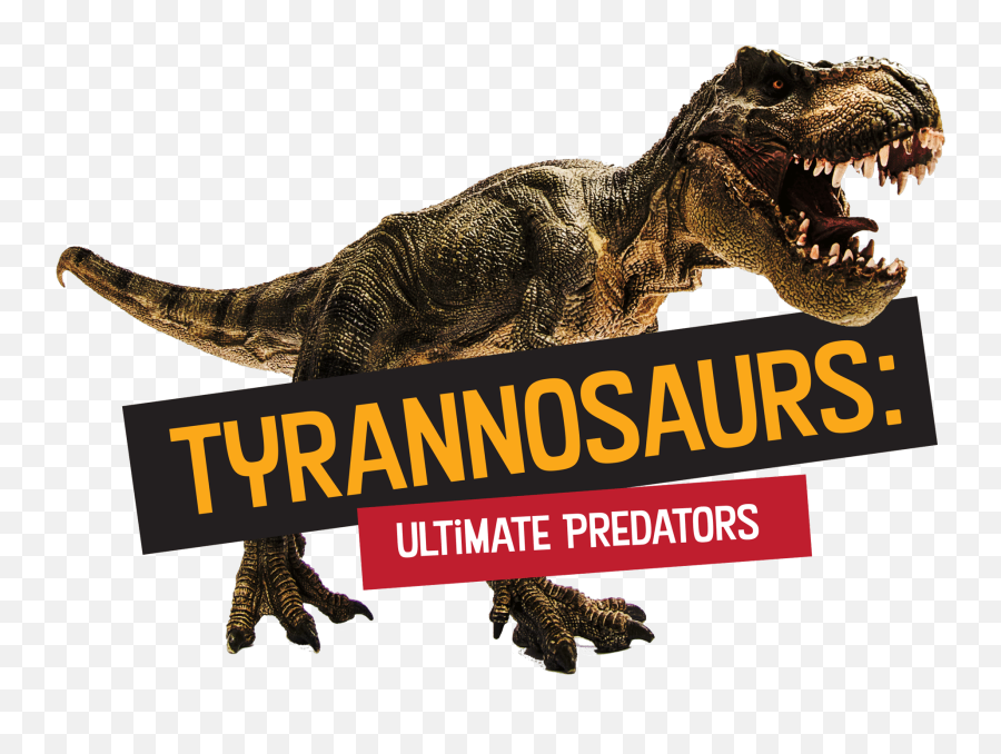 Tyrannosaurus Ultimate Predators - Lake Macquarie City Council Animal Figure Emoji,Predators Logo