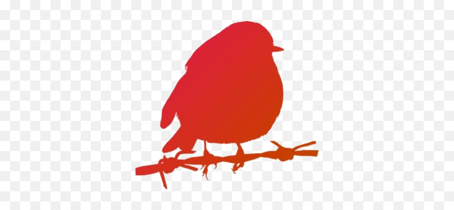 Robin Bird Png Free Clipart Pngimages - Old World Flycatchers Emoji,Robin Clipart