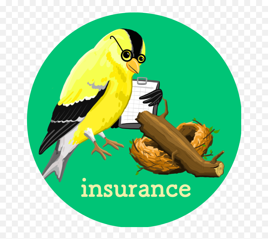 Insurance Bof At Rstudioconf 2020 - Birds Of A Feather Emoji,Health Insurance Clipart