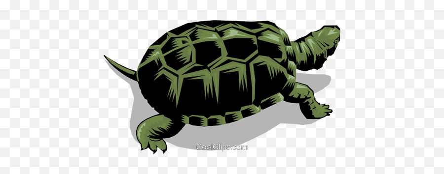 Turtle Royalty Free Vector Clip Art Illustration - Anim0264 Emoji,Turtle Clipart Free