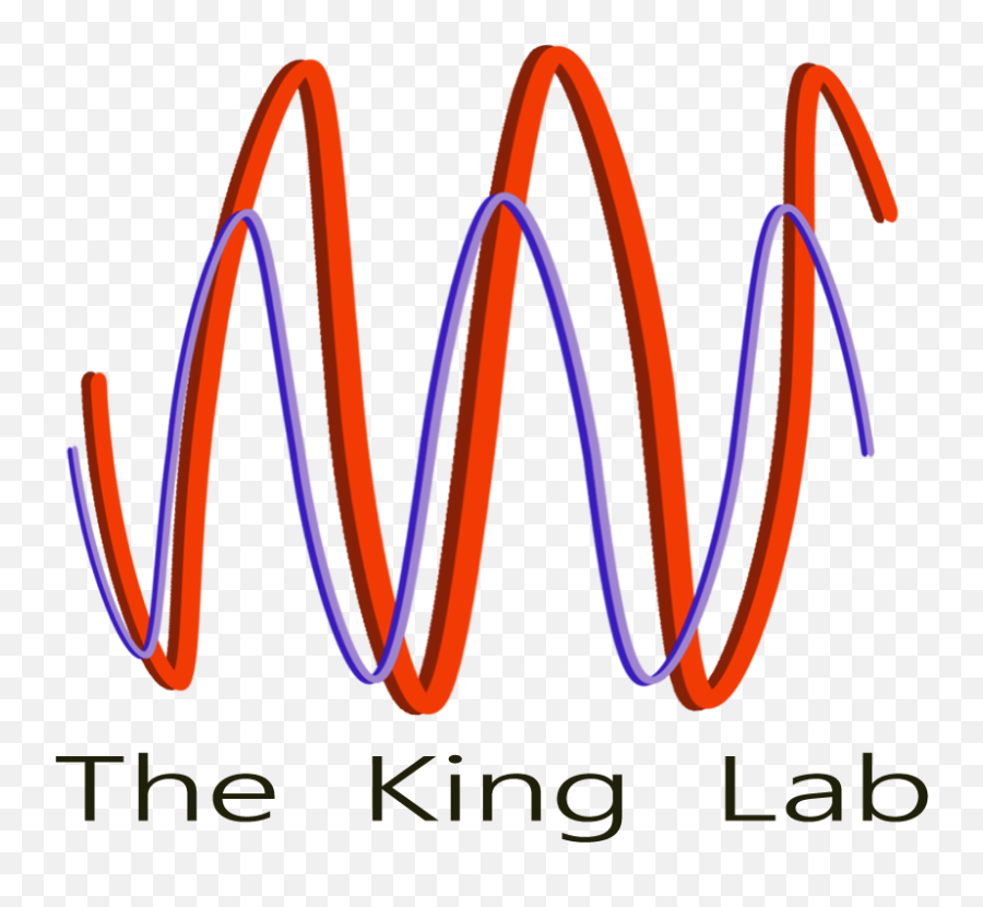 Home The King Lab - Adva Emoji,Lab Logo