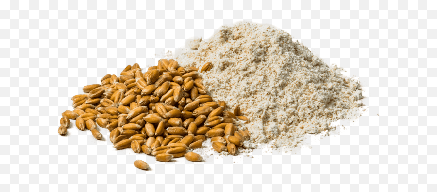 Substituting Spelt Flour For Whole - Seed Emoji,Flour Png