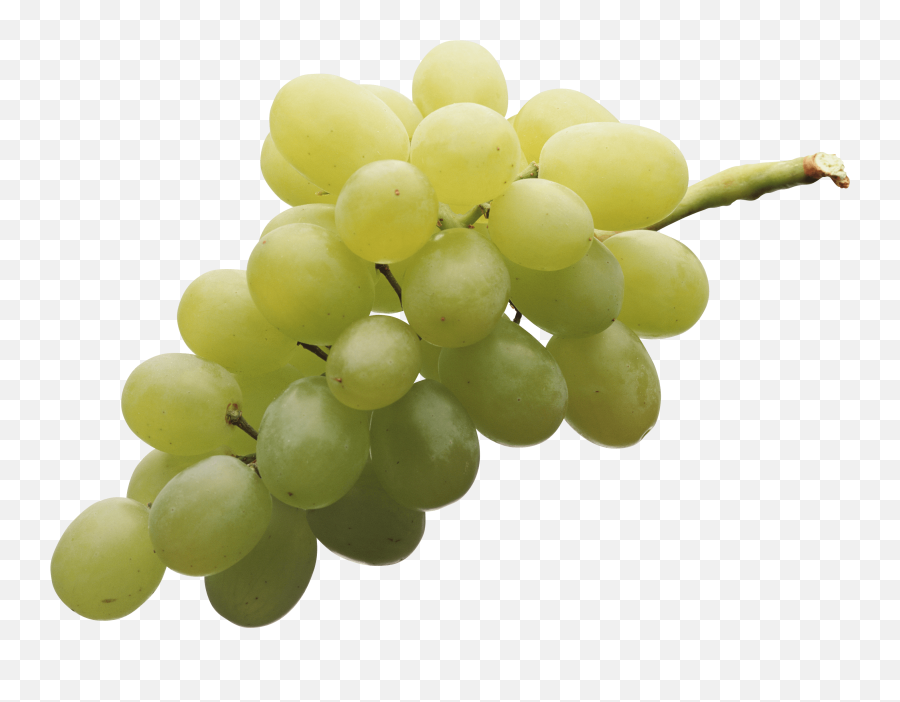 Grapes Clipart Transparent Background - Grapes Transparent Green Grapes Png Emoji,Grapes Clipart