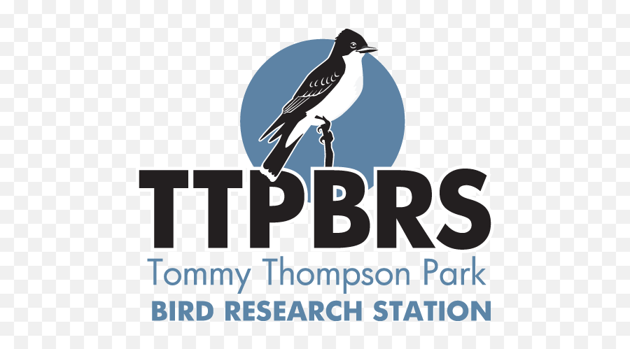 Tommy Thompson Park Bird Research Station Logo Emoji,Tommy Logo
