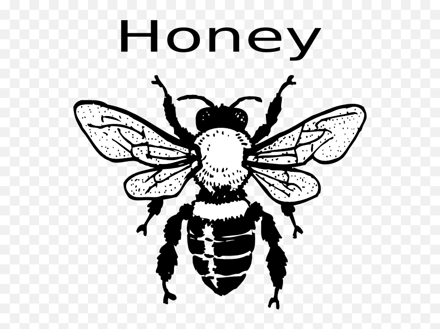 Free Honey Bee Clip Art Images Free - Honeybee Clip Art Emoji,Bee Clipart Black And White