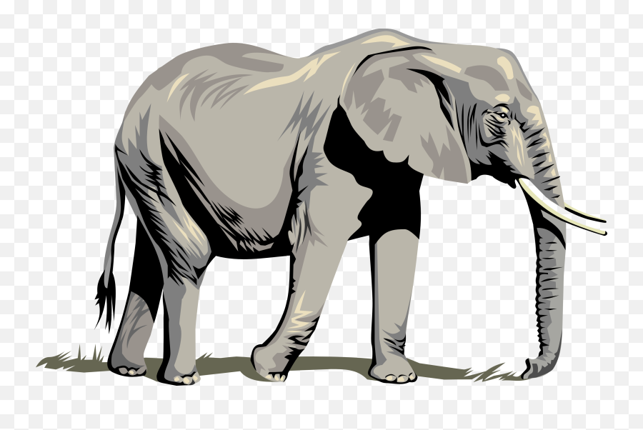 300 Free Trunk U0026 Tree Vectors - Pixabay Elephant Vector Emoji,Elephant Silhouette Clipart
