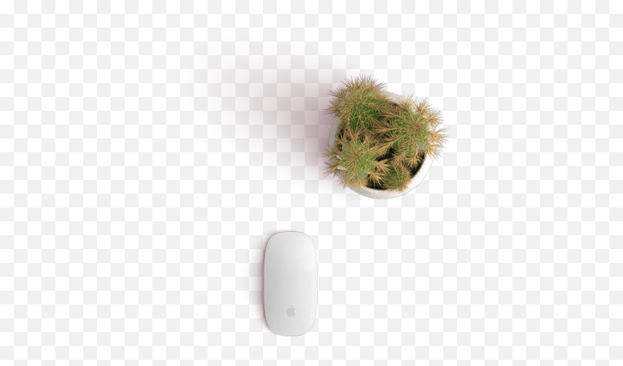 Table Plant Png Top Transparent Png - Table Plant Top View Png Emoji,Table Top Png
