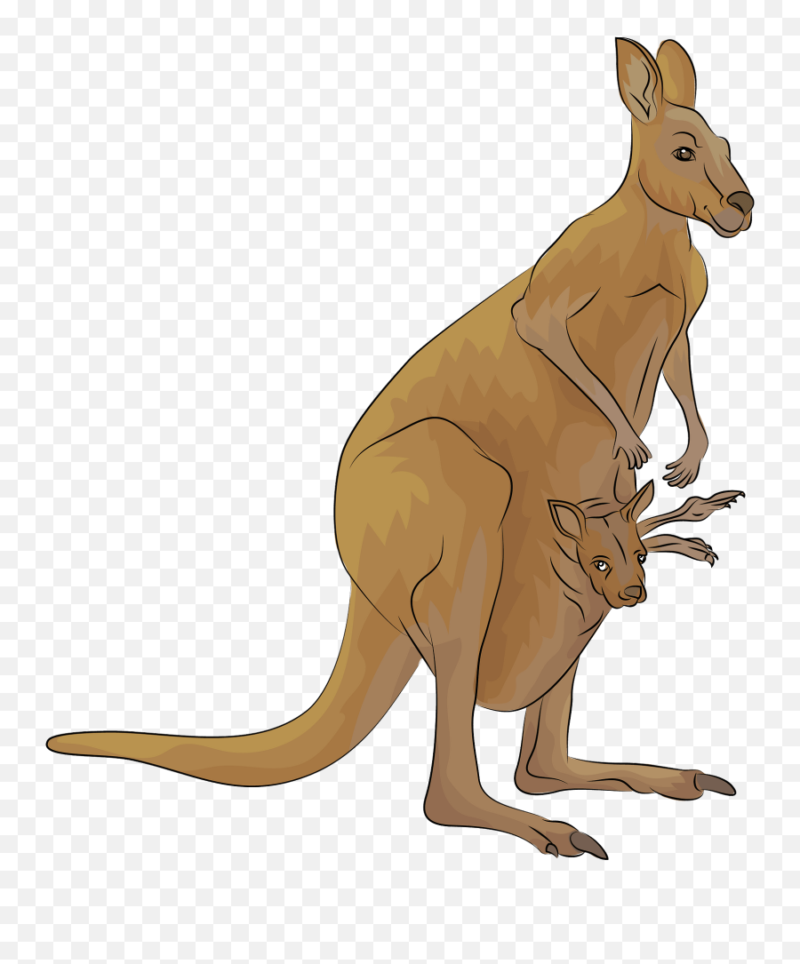 Kangaroo Clipart - Hd Kangaroo Emoji,Kangaroo Clipart