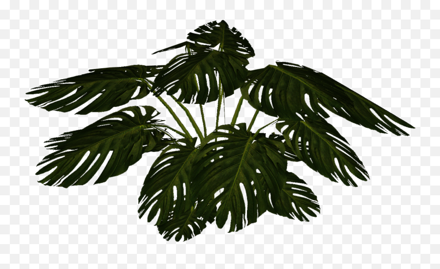 Tropical Plants Emoji,Tropical Plants Png