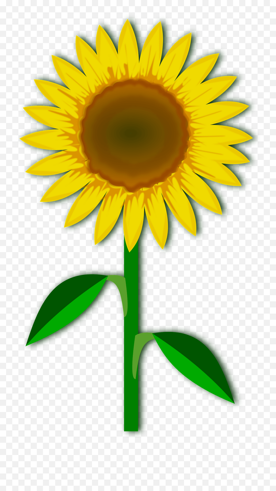 Clip Art Flor Flora - Free Vector Graphic On Pixabay Yellow Flower With Stem Clipart Emoji,Nature Clipart