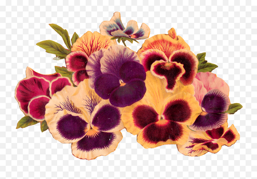 Antique Images Royalty Free Pansy Clip Art Image Download Emoji,Flower Garden Clipart