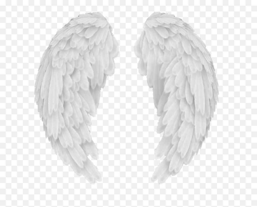 Angel Wings Png Transparent - Angel Wings Baby Png Emoji,Wings Png