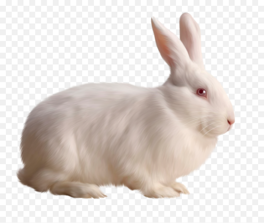 Bunny Ears Png - Rabbit Rabbit Png 5095975 Vippng Png Rabbit Emoji,Bunny Ears Png