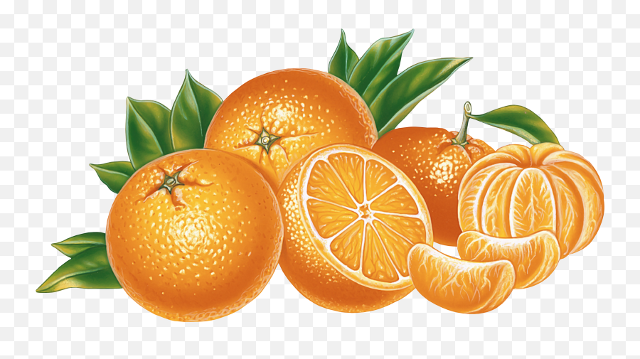 Orange Png Image Free Download - Orange Png Emoji,Orange Clipart