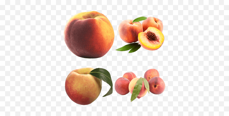 Peaches Transparent Png Images - Stickpng Peaches Png Emoji,Peaches Png