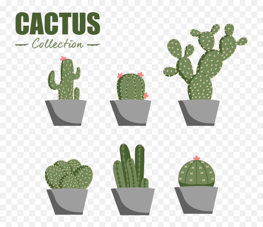 Flat Cactus Collection Vector Element 614786 - Download Free Cactus Emoji,Cactus Flower Clipart