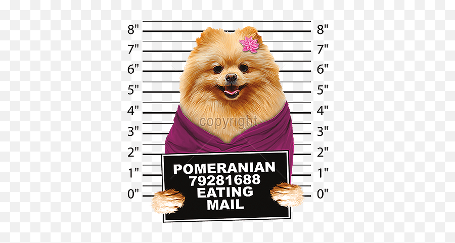 Pomeranian T Shirt - Mug Shot Emoji,Pomeranian Png