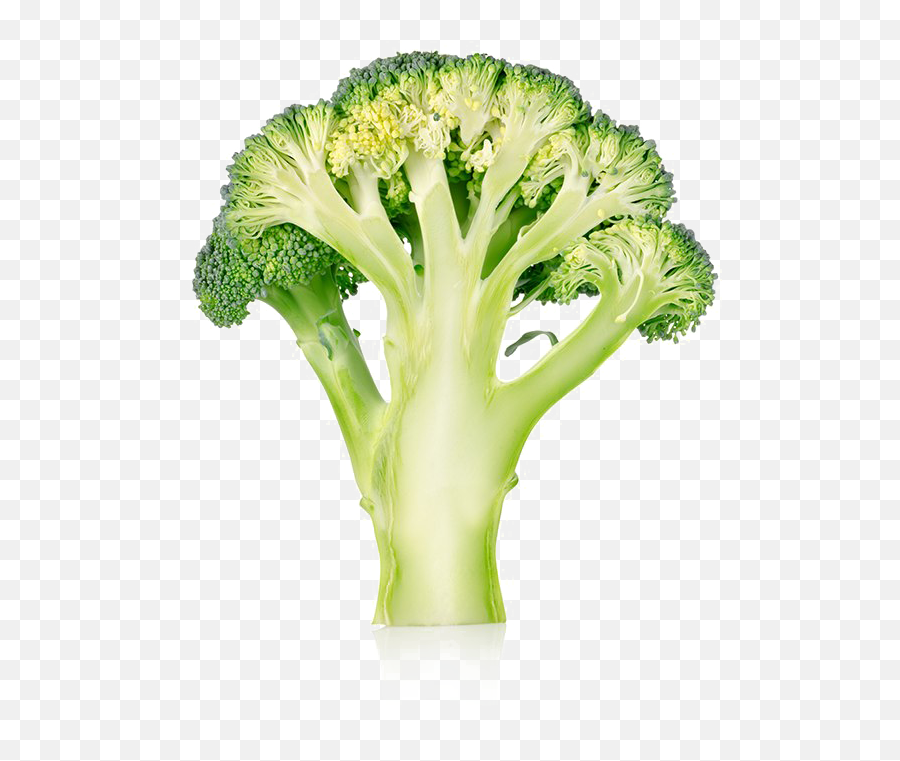 Free Transparent Broccoli Download - Transparent Transparent Background Broccoli Clipart Emoji,Broccoli Clipart