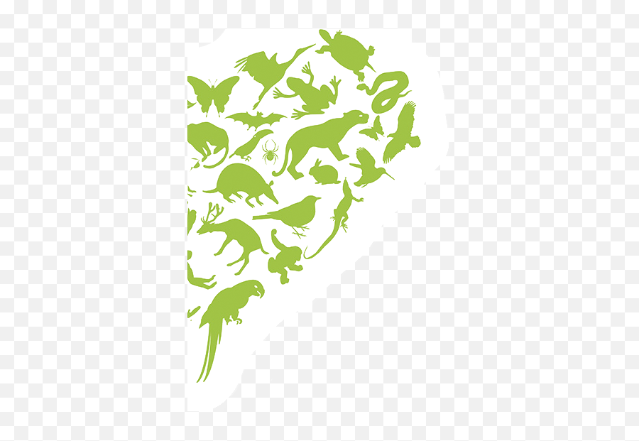 Green Motion Green Heart Donation - Green Motion Emoji,Green Heart Png