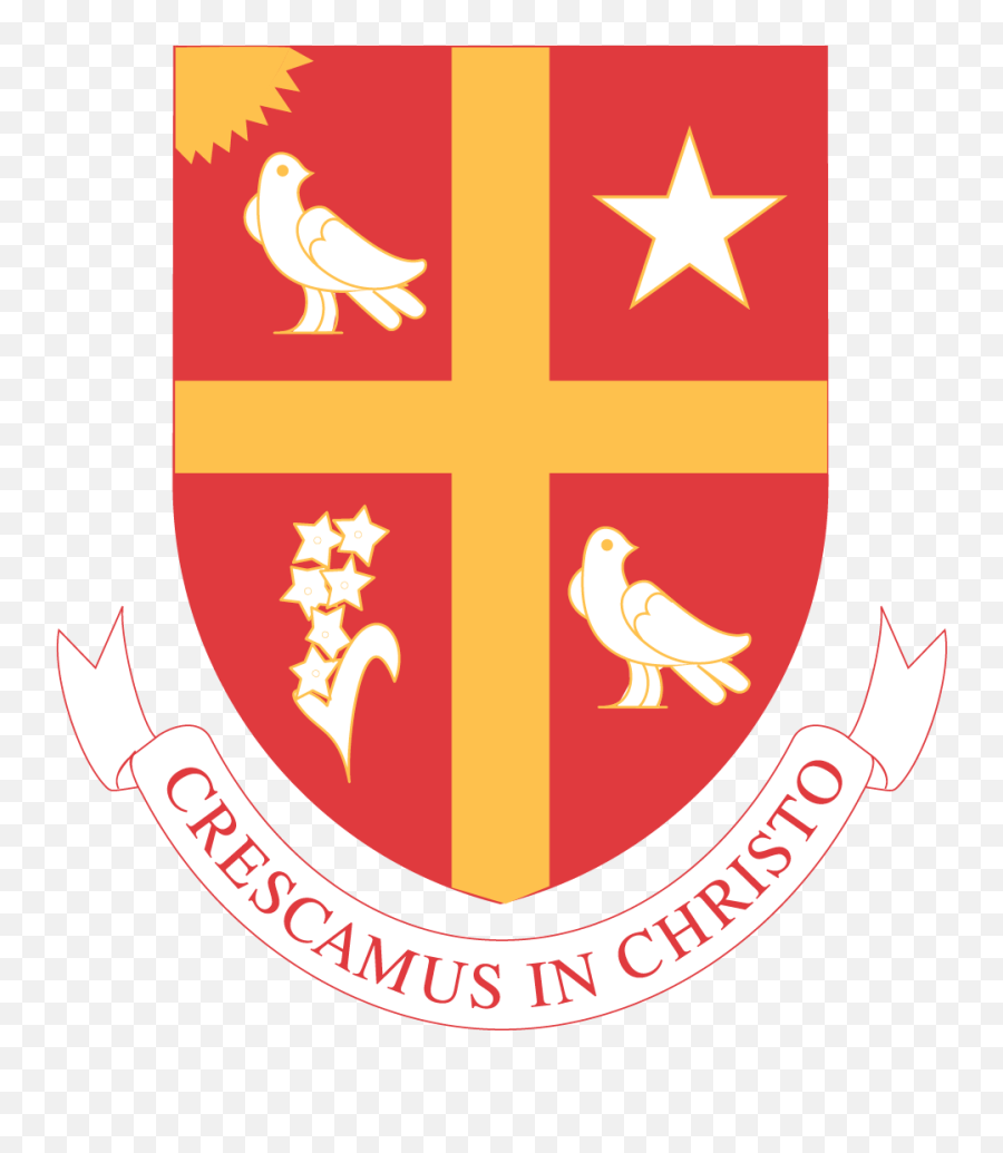 Giving Tuesday 2019 Givecampus - University Of St Thomas Houston Emoji,Giving Tuesday Logo 2019