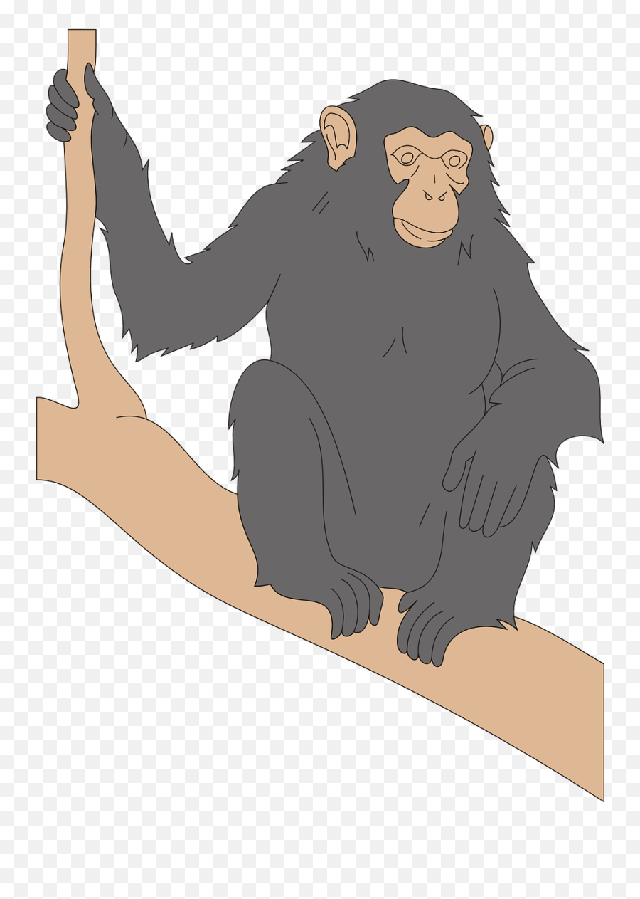 Chimp Black Branch Emoji,Chimp Png