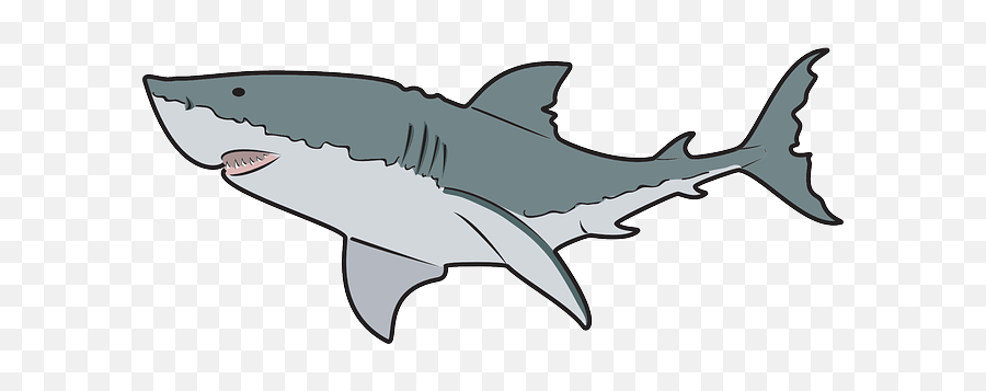 Download Mako Shark Clipart Transparent - Transparent Great White Shark Clipart Emoji,Shark Clipart