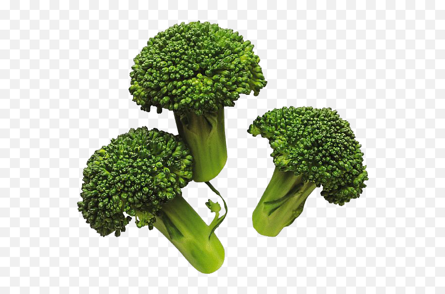 Broccoli Png Images Transparent Free - Broccoli Food Clipart Emoji,Broccoli Clipart