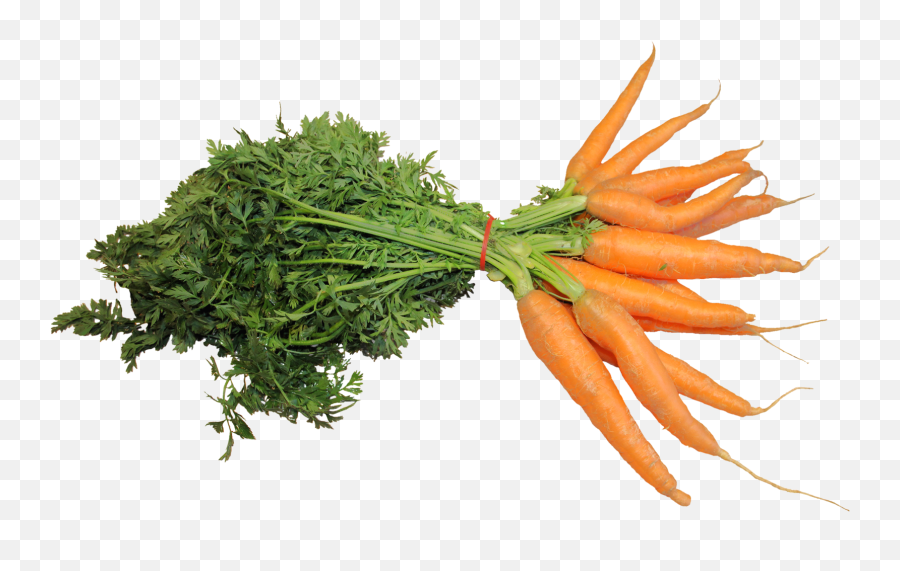 34 Carrot Ideas - Carrot Vegetables Transparent Background Emoji,Carrot Png