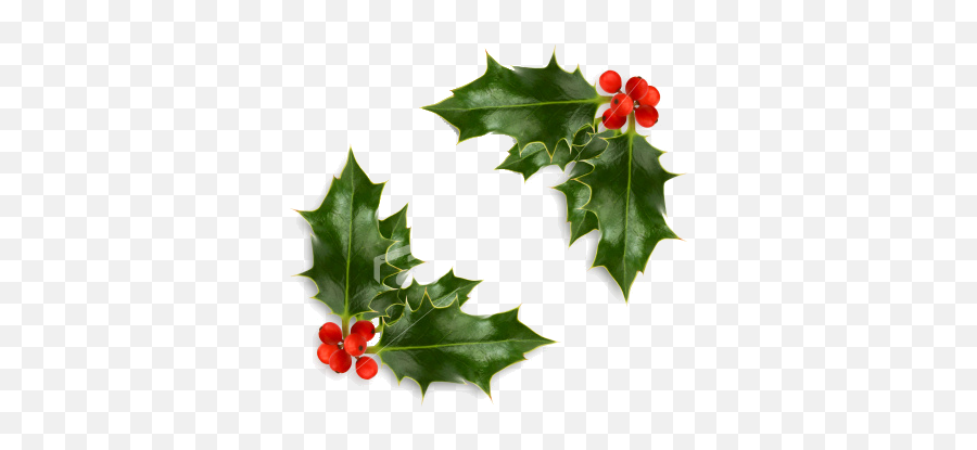 Free Christmas Holly Png Download Free - Border Holly And Ivy Emoji,Holly Png