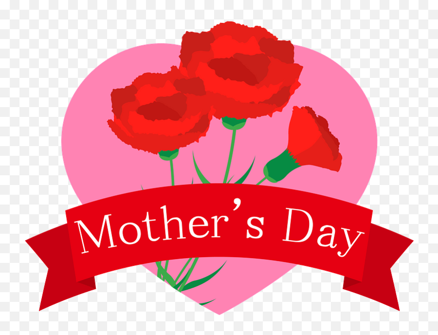 Motheru0027s Day Message And Carnations Clipart Free Download - Day Emoji,Mothers Day Clipart Free
