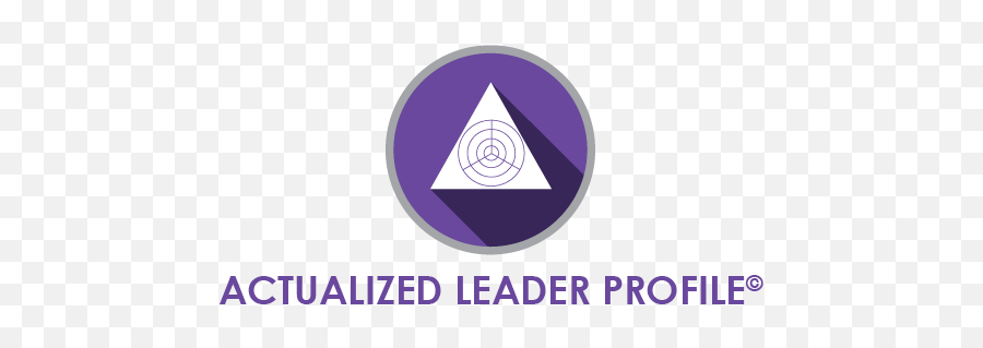 Leadership Initiatives Queens University Of Charlotte Emoji,Ally Bank Logo