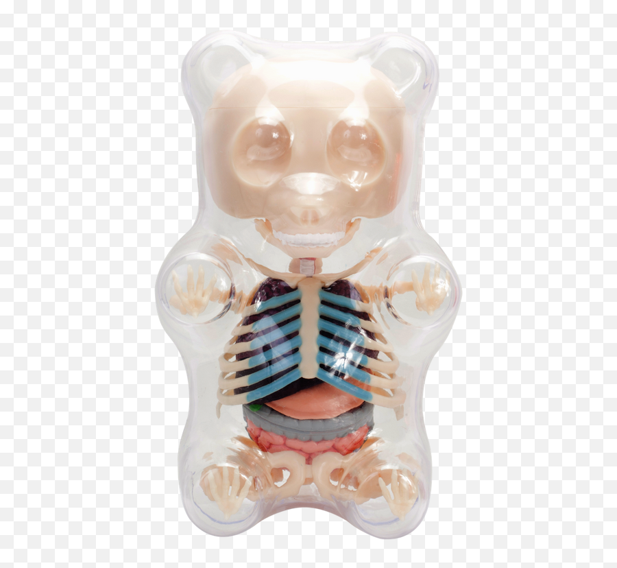 Clear Gummi Bear Funny Anatomy Emoji,Gummy Bear Png