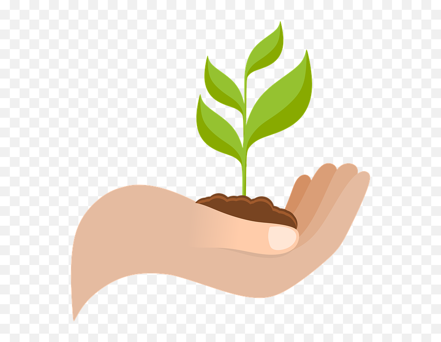 Free Photo Nature Protection Environment Hands Growth Plant Emoji,Grow Clipart