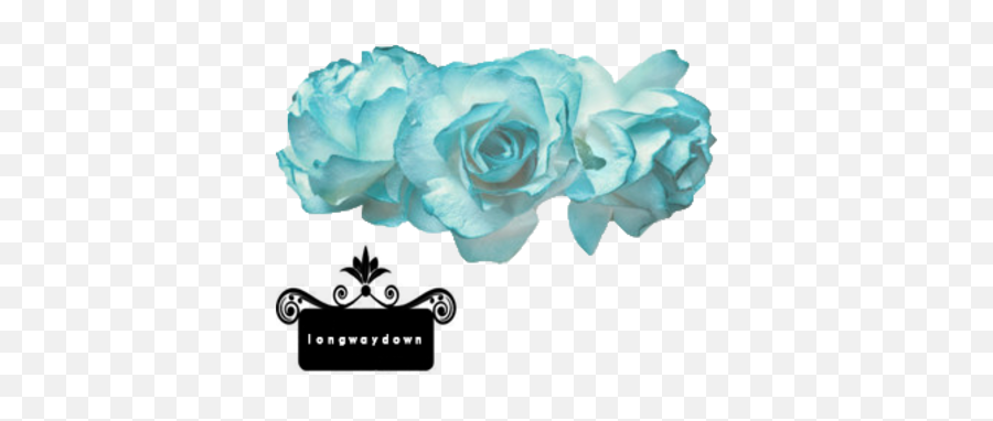 Download Transparent Flower Crown Blue - Flower Crown Png Transparent Background Blue Flower Crown Png Emoji,Flower Crown Png