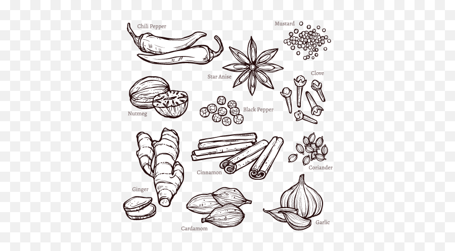 The Medicine Cabinet In Your Kitchen Our Must - Have Herbs Emoji,Herb Clipart Black And White